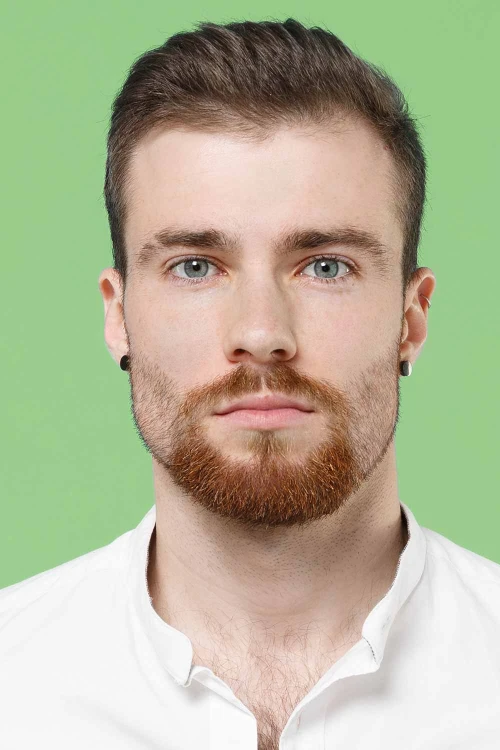 Борода эспаньолка