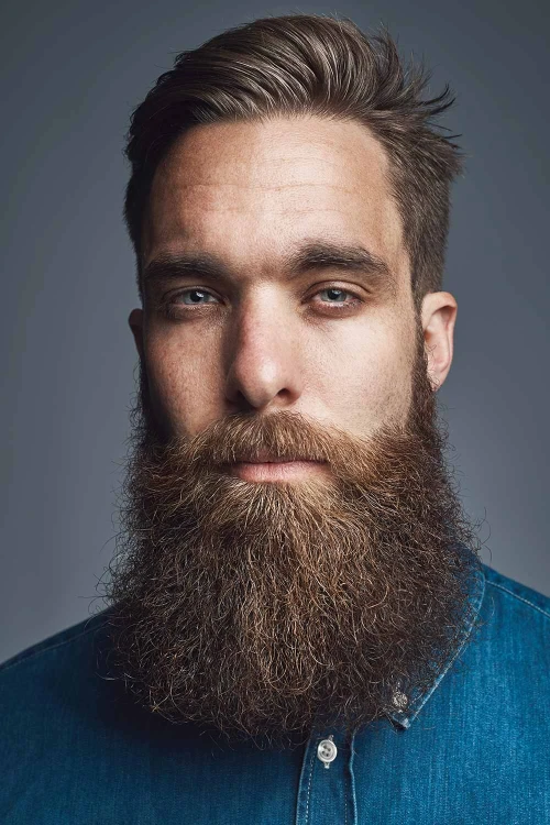 Борода Гарибальди (Гарибальдийская борода)