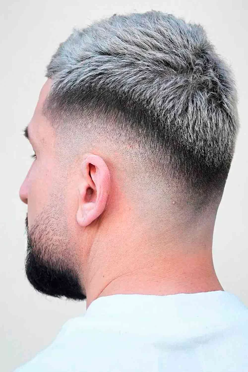 Густая высокая серебрянная стрижка