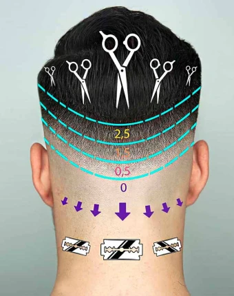 Что такое номера стрижек и как их перевести в длину стрижки