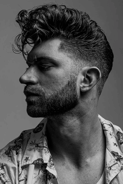 Кудрявый Помпадур