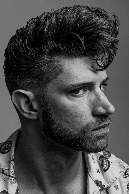 Кудрявый Помпадур